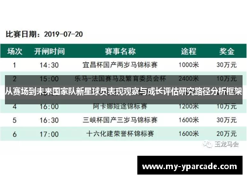 从赛场到未来国家队新星球员表现观察与成长评估研究路径分析框架 从赛场到未来国家队新星球员表现观察与成长评估研究路径分析框架